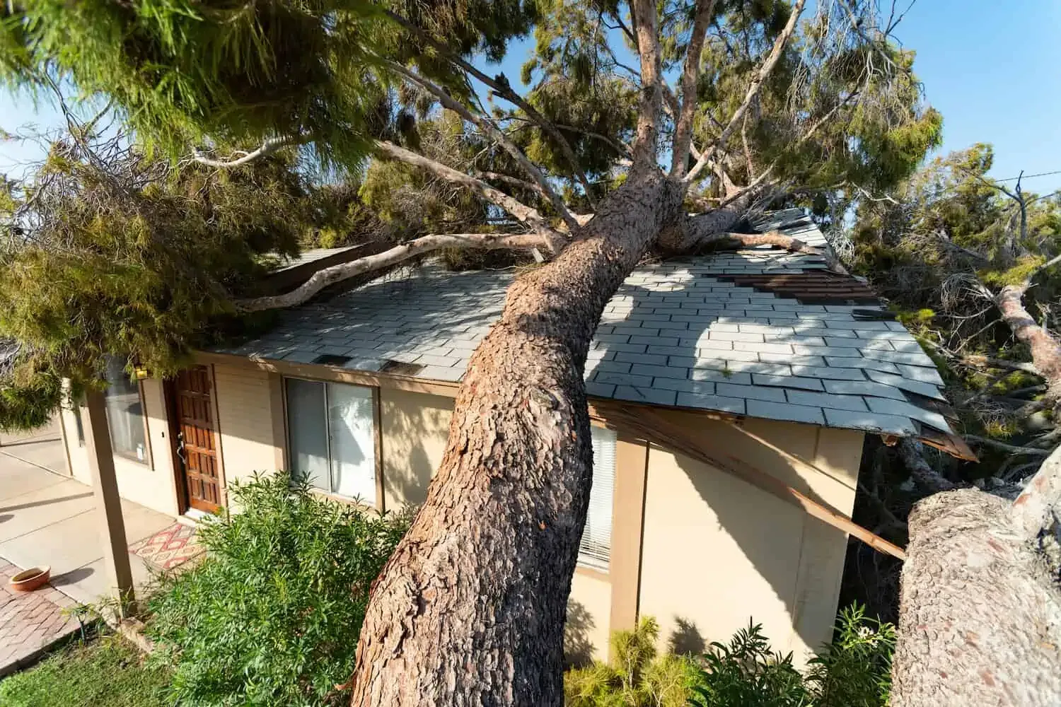 Roof storm damage from fallen tree